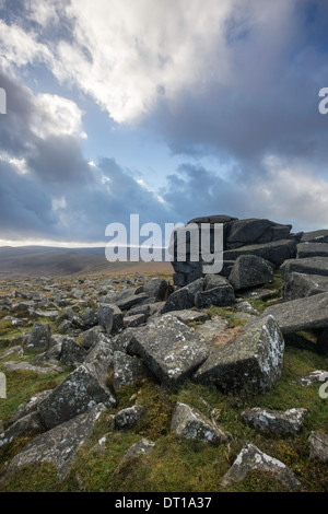 Die felsigen Tors auf Belstone Common, Dartmoor, Devon, England, UK Stockfoto