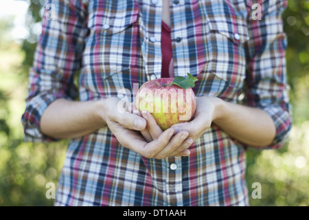 Woodstock, New York USA Frau im karierten Hemd mit großen Bio-Apfel Stockfoto