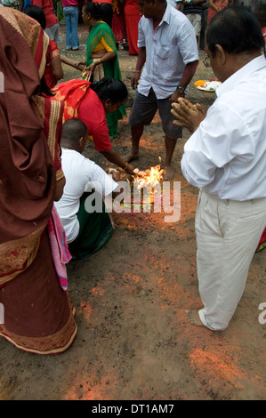 KALI ANBETUNG FEUER GEHEN, 11. / 12. MÄRZ 2011 DIE KALI TEMPEL MOUNT EDGCOMBE DURBAN. Der Tempel Society of Kali Tempel in Stockfoto