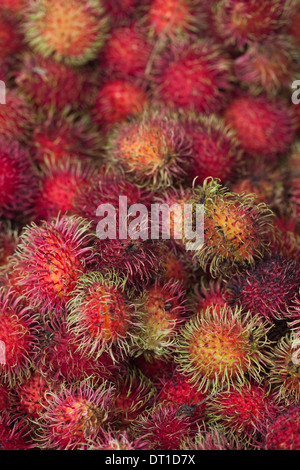 Lychee Früchte (Litchi Chinensis). Kürzlich geernteten Sorte oder Sorte, für den Verkauf auf einen Costa Rica am Straßenrand Marktstand. Stockfoto