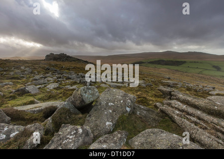 Die felsigen Tors auf Belstone Common, Dartmoor, Devon, England, UK Stockfoto