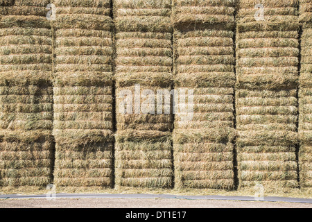 Washington State USA Heuballen in Schichten um Futter trocken gelagert Stockfoto