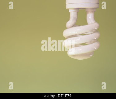 Energie effiziente Leuchtstoff Glühlampe CFL Stockfoto