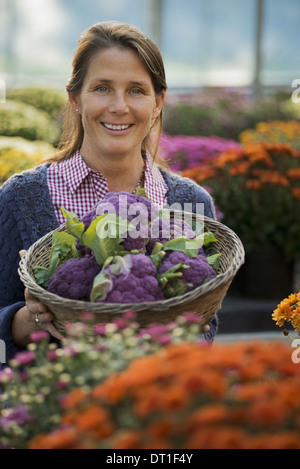 Eine Frau hält eine Schale mit frischen Produkten lila sprießen Brokkoli Blütenpflanzen Crysanthemums Stockfoto