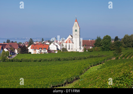 Katholische St. Johann Baptist Kirche und Weinberge, Hagnau, Bodensee (Bodensee), Baden-Württemberg, Deutschland, Europa Stockfoto