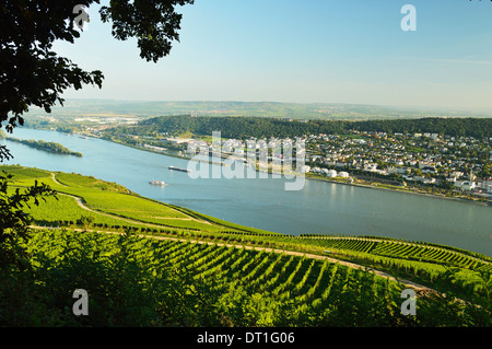 Blick auf Bingen und Rhein, Rheinland-Pfalz, Deutschland, Europa Stockfoto