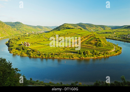 Blick auf Calmont Weinberge, Augustinerkloster Stuben, Bremm Dorf und Mosel (Mosel), Rheinland-Pfalz, Deutschland Stockfoto