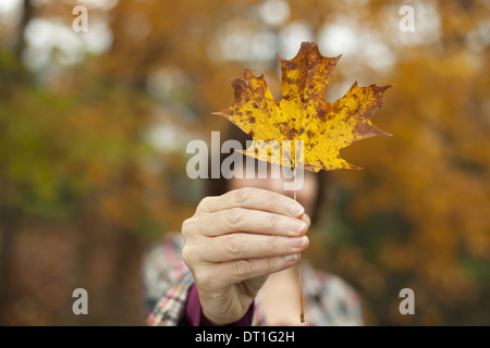 Wald im Herbst A Frau mit einem herbstlichen Blatt ein Ahornblatt in der hand Stockfoto