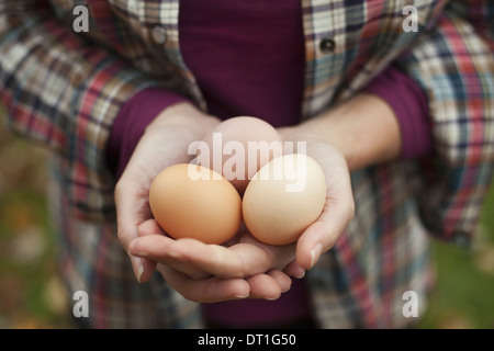 Eine Frau hält eine Kupplung von frisch gelegten Hühnereier Stockfoto