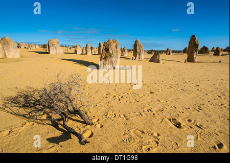 Die Pinnacles-Kalkstein-Formationen bei Sonnenuntergang im Nambung National Park, Western Australia, Australien, Pazifik Stockfoto