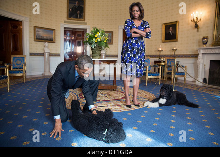 Warten Sie US-Präsident Barack Obama und First Lady Michelle Obama, zusammen mit Familie Haustiere Sunny und Bo, um Besucher in das blaue Zimmer während einer White House Tour 5. November 2013 in Washington, DC zu begrüßen. Stockfoto