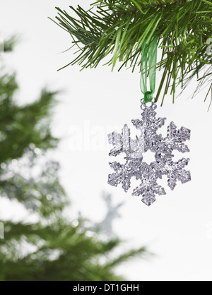 Grünes Blatt Laub und Dekorationen A Baum Tannenzweig mit grünen Nadeln Weihnachten Dekorationen A Silber Eiszapfen Form Stockfoto