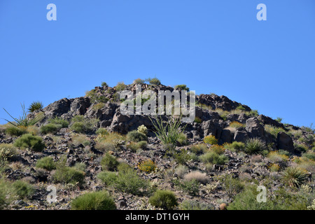 Die Sitgreaves Pass, hoch in den Bergen in der Nähe von Las Vegas, entlang der alten Route 66 durch Arizona Stockfoto