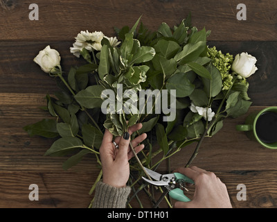 Eine Frau hält Gartenschere und schneiden die Basis der Blütenstiele für ein Gesteck aus weißen Rosen und grünen Laub Stockfoto