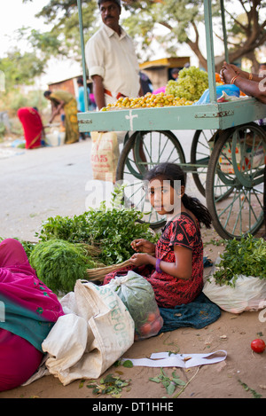 Junge Inderin Verkauf von Kräutern aus einem Korb in einem Straßenmarkt. Andhra Pradesh, Indien