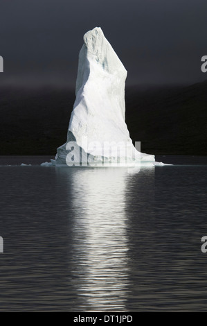 Eisberg in der Scoresbysund Fjord-Grönland Stockfoto