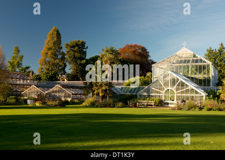 Die Gewächshäuser an einem Herbsttag in der Cambridge Botanic Garden, Cambridge, Cambridgeshire, England, Vereinigtes Königreich, Europa Stockfoto