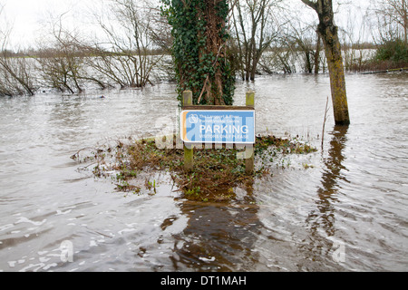 Überschwemmungen an der Somerset Levels an Langport, England Stockfoto