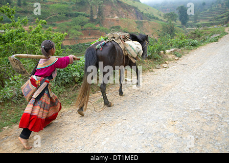 Flower Hmong ethnische Gruppe, Ban Pho Dorf, Bac Ha Fläche, Indochina, Vietnam, Südostasien, Asien Stockfoto