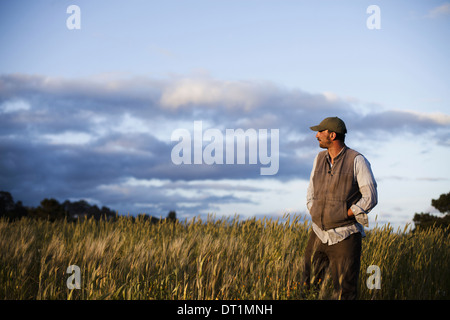 Ein Mann stand auf der Suche über die Pflanzen und Felder am Obdachlose Garten-Projekt in Santa Cruz bei Sonnenuntergang Stockfoto