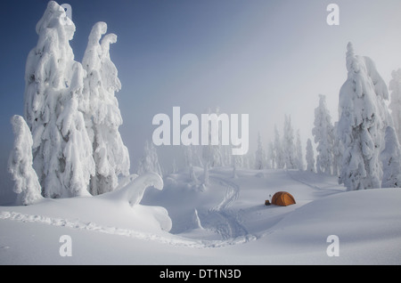 Ein helles orange Zelt unter Schnee bedeckt Bäume auf einem verschneiten Bergrücken mit Blick auf einen Berg in der Ferne Stockfoto