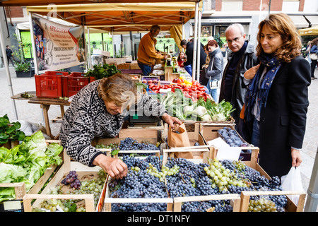 Obst und Gemüse Stand auf einem Markt in Alba, Langhe, Angebot, Piemont, Italien, Europa Stockfoto