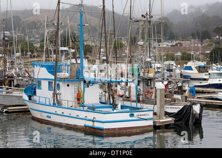 Marina in Pillar Point Harbor, Half Moon Bay, Kalifornien, Vereinigte Staaten von Amerika, Nordamerika Stockfoto