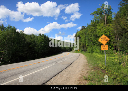 Moose Crossing Schild, White Mountain National Forest, New Hampshire, New England, Vereinigte Staaten, Nordamerika Stockfoto