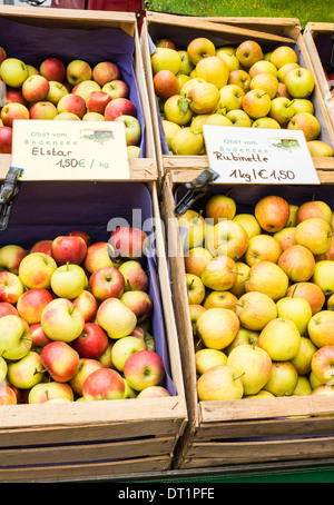 Vielzahl von Äpfeln aus der  lake-Constance -Region, bekannt für seine Obstgärten, für den Verkauf auf einem Freiluftmarkt, Oberstdorf, Bayern, Stockfoto