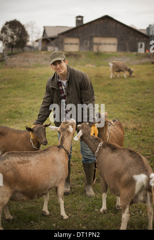 Milchviehbetrieb Landwirt Arbeits- und tendenziell die Tiere Stockfoto