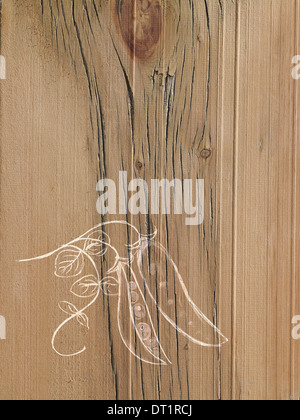 Eine Strichzeichnung Bild auf eine natürliche Holzmaserung Hintergrund frische Erbsen in einer Schote am Rebstock Stockfoto