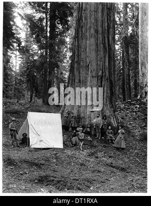 Gruppe von Menschen auf Basis von Los Angeles Big Tree in Mariposa Grove im Yosemite Nationalpark, Kalifornien Stockfoto