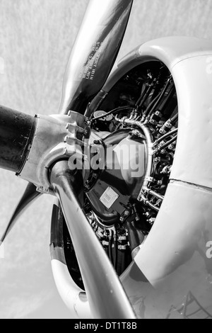 Der Wright Cyclone-Motor der B17 Flying Fortress WW2 Bomber Flugzeug Stockfoto