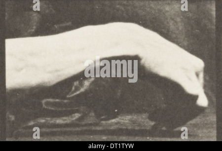 Das Bild nimmt eine Hand auf, die einen Kreis zeichnet, wahrscheinlich aus einem historischen Dokument oder künstlerischen Werk, das einen akademischen oder wissenschaftlichen Prozess widerspiegelt. Stockfoto