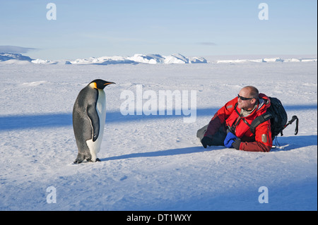Ein Mann liegt auf seiner Seite auf dem Eis in der Nähe ein Kaiserpinguin regungslos Stockfoto