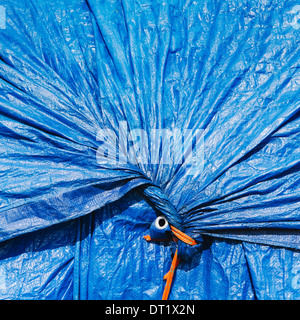 Eine blauen plane gesammelt und mit einem Seil gefesselt, wie eine Hülle über Pfähle der kommerziellen Fischerei Fischerhütte Terminal Seattle Netze Stockfoto