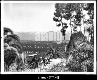 Pferdekutsche unterwegs auf Smiley Höhen mit Blick auf Redlands, ca.1900 Stockfoto