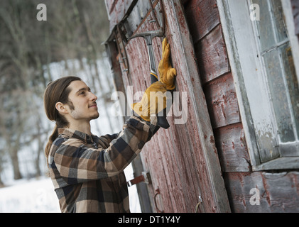 Ein Bio-Bauernhof im Winter in New York State USA A Mann mit einem Hammer ein Scheunentor ausbessern Stockfoto