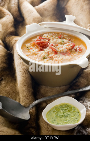 Reis-Suppe mit Tomaten Stockfoto