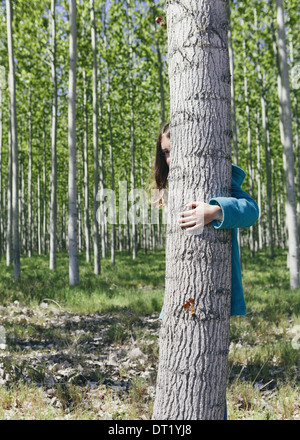 Zehn Jahre altes Mädchen hinter kommerziell angebauten Pappel auf große Tree Farm in der Nähe von Pendleton peering Stockfoto