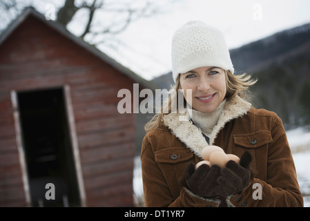 Ein Bio-Bauernhof im Bundesstaat New York im Winter A Frau Henne Eier in ihren Händen hält Stockfoto