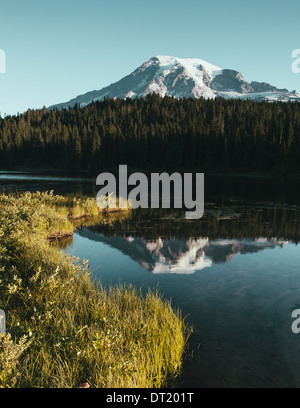 Blick auf Mount Rainier von Reflection Lakes im Morgengrauen in Mount Rainier Nationalpark Stockfoto