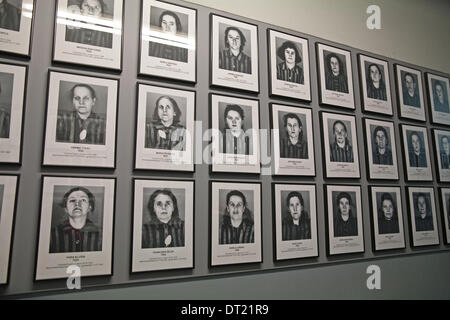 Auschwitz-Birkenau, Polen, 5. Februar 2014, eine Ausstellung mit Fotos von den Kriegsgefangenen in Auschwitz Konzentration Livecam Credit: Keith Larby/Alamy Live News Stockfoto