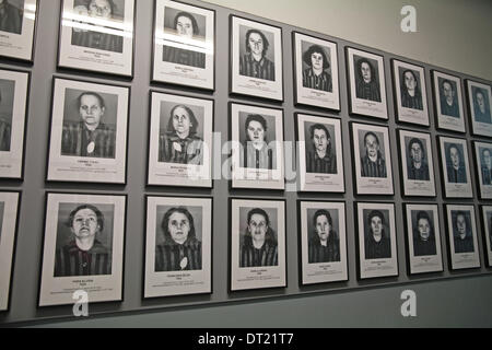 Auschwitz-Birkenau, Polen, 5. Februar 2014, eine Ausstellung mit Fotos von den Kriegsgefangenen in Auschwitz Konzentration Livecam Credit: Keith Larby/Alamy Live News Stockfoto