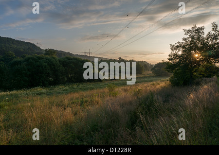 die Morgensonne spähen durch die Äste eines Baumes auf einer Wiese Stockfoto