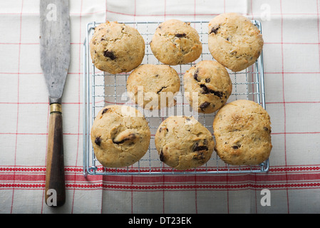 Chocolate Chip Cookies und Fleur de sel Stockfoto