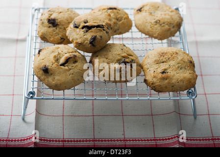 Chocolate Chip Cookies und Fleur de sel Stockfoto