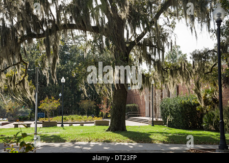 Universität von Florida College of Fine Arts Gebäude Gainesville. Stockfoto