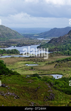 Damen-Blick auf die Seen von Killarney auf der Ring of Kerry, Land Kerry, Irland Stockfoto