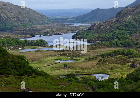 Damen-Blick auf die Seen von Killarney auf der Ring of Kerry, Land Kerry, Irland Stockfoto